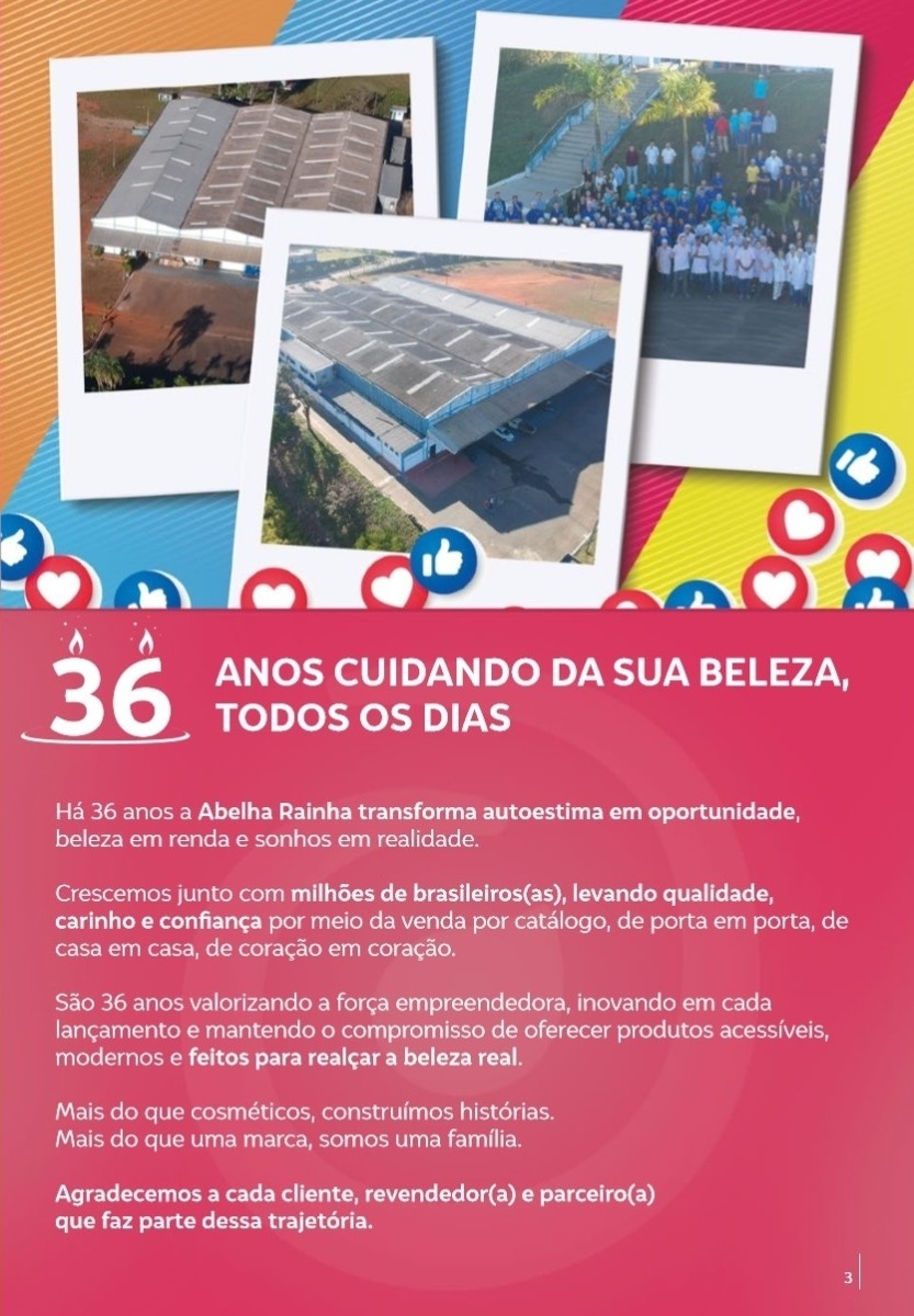Página 3