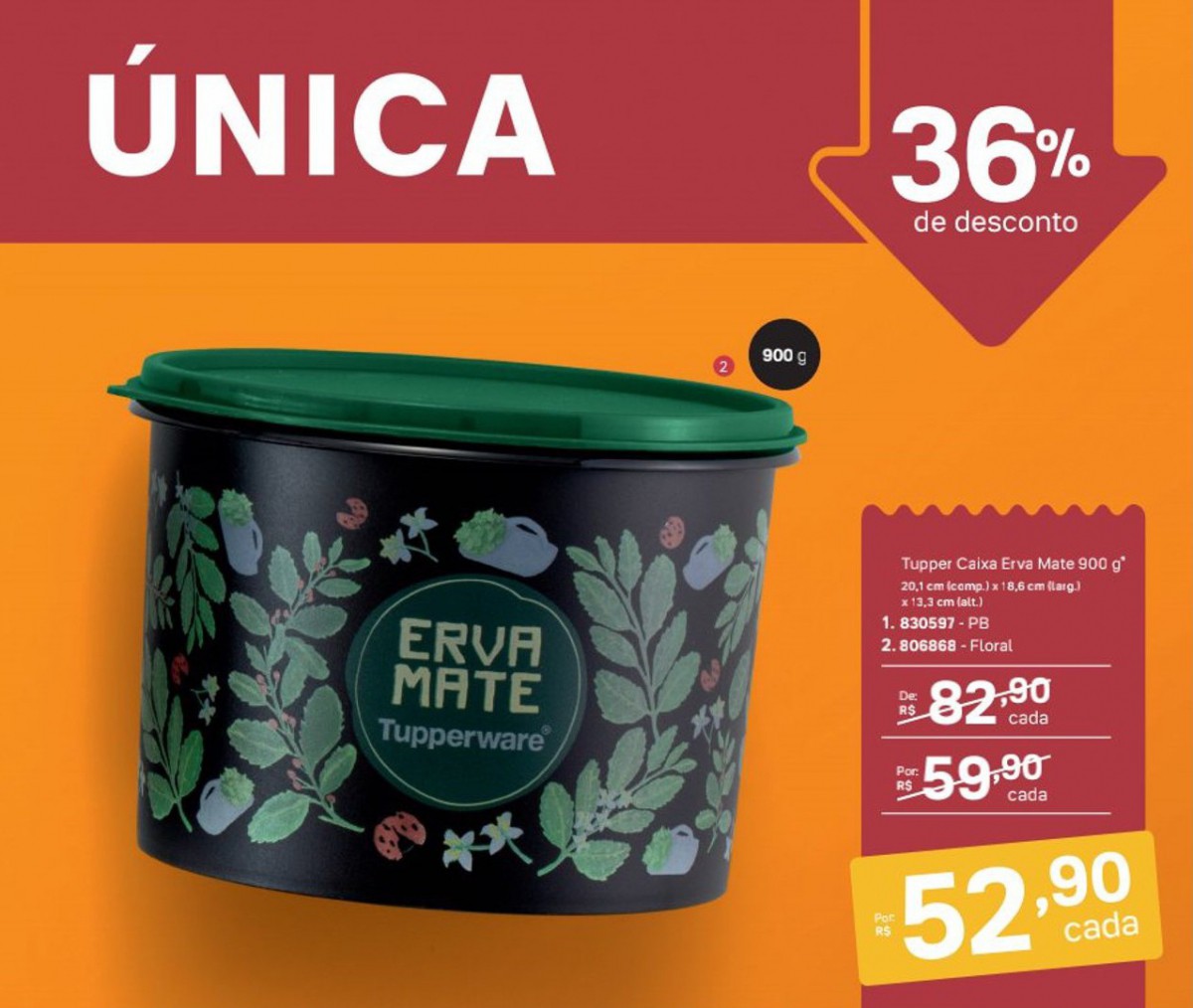 Página 61